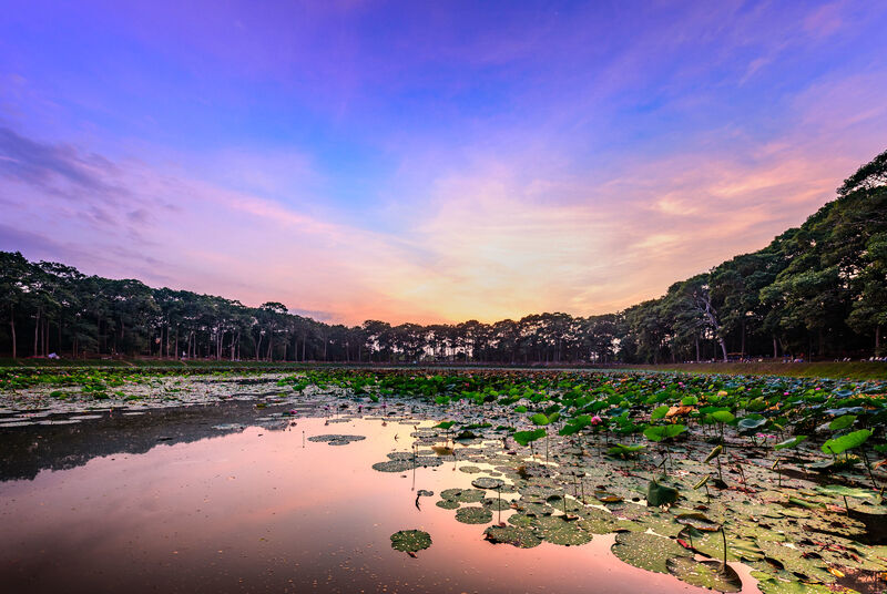 Ba Om Pond - Capture the spiritual beauty of Tra Vinh’s Khmer heritage